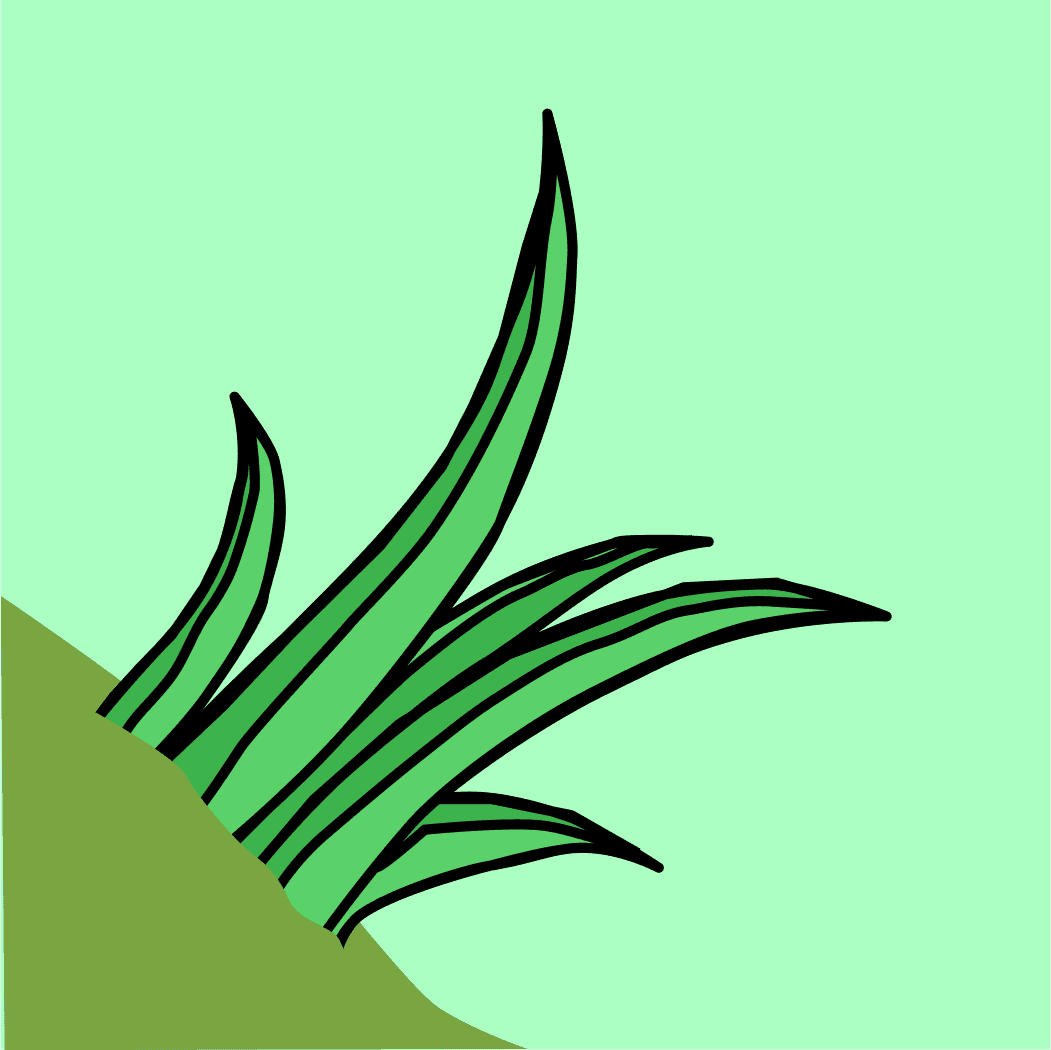 Grass Resource